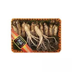 명절선물 고려인삼 삼 금산 인삼 수삼 왕특1호 1kg 11-13편