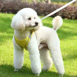 애견 시원한 여름 매쉬 조끼 산책줄 하네스 선물 qir6+7MEM