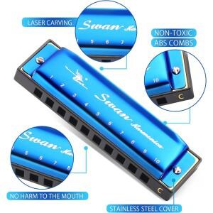 하모니카 키 C 10 홀 폴리포니 디아토닉 하프 케이스 포함 블루스 포크 팝 음악 학생 교사 초보자용