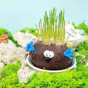 식물키우기 토피어리인형 밀싹 자연관찰/키우기/식물/기르기/재배/학습/과학/교재/교구/관찰/교육용/키트
