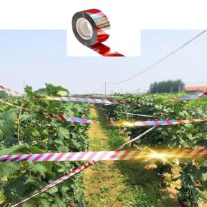 새?기 새퇴치 c2