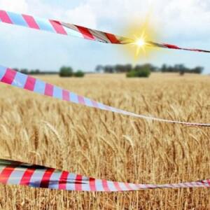 까치퇴치 새퇴치 d3 100m 퇴치법 컨터널