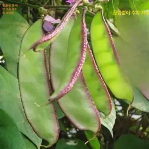 소형 펭귄 조각상 남극동물 수족관 귀여운 동물원