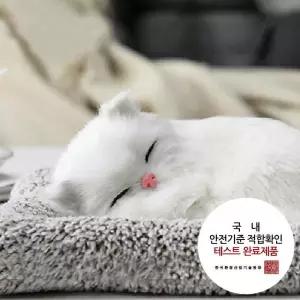 차량용탈취제 흰색고양이 소형 리얼펫 제습인형 용탈취 에어컨 자동 냄새 담배