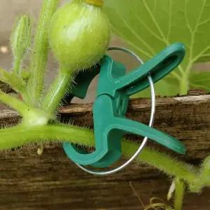 [콩심팥심]식물 집게 원예 화분 고정 지지 핀 소형 10P DD-12935