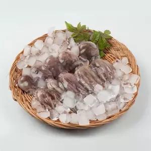 물맛남 26년 제철 활 쭈꾸미 1kg 10-16미