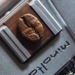 카메라 핫슈 커버 호두 커피 콩 DSLR 미러리스 액세서리 소니호환/캐논호환/니콘 호환 캡 버튼 선물