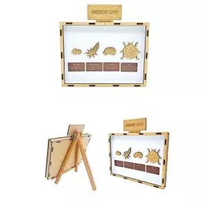 초등용 어린이 목공예 무당벌레의 한살이 만들기(이젤 포함) 교육기관 관찰