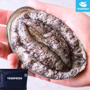 [선물포장] 완도활전복 1.5kg 10-12미 총18마리(미당83g내외)