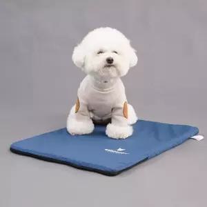 강아지 켄넬 방수 패드 XL 1P 고양이 유모차 깔개