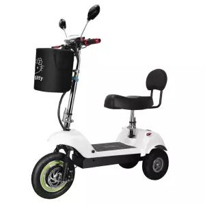 삼륜 3륜 접이식 세발전기자전거 어른용 전동스쿠터