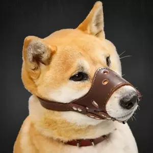 가죽 강아지 입마개 짖음 방지 마스크 반려동물 훈련용품