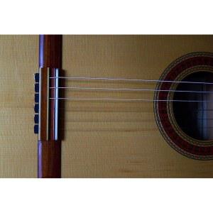 로제트 다이아몬드 시큐어 클래식 기타 줄 타이 / 새로운 로우 프로파일 브리지비즈