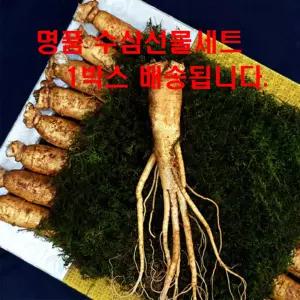수삼 금산 고려 인삼 6년근 5년근 수삼 명절 선물세트
