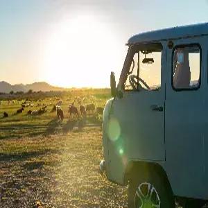 [부산출발][2030전용] 몽골/테렐지 5일 #찐몽골별자리찾기 # 푸르공 #미니사막 #낙타체험 #초원승마 #캘리그라피 #현대식게르[2인1실]