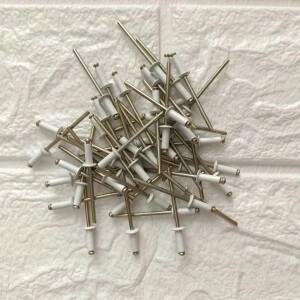 50pcs 화이트 골드 페인트 블라인드 리벳 라운드 헤드  알루미늄 스틸 홈 장식 산업용 패스너 DIA 18