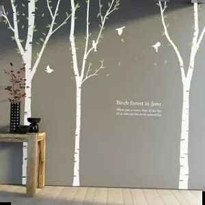 자작나무시트지 그래픽스티커 자작나무세그루 WBWG150