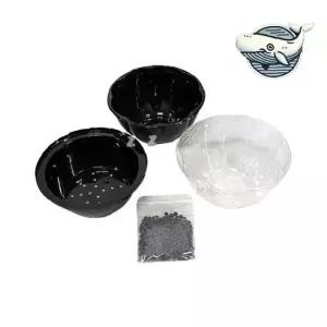 콩나물 재배기 실내 채소 키우기 흙 없이