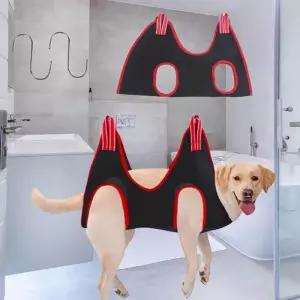 강아지 미용실속 해먹 반려견 발톱 털 정리 빗질 귀청소