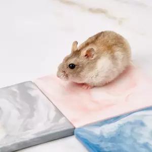 햄스터 도자기 쿨매트 곰돌이 고슴도치 여름 둣자리