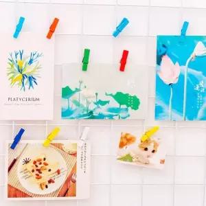 컬러 일자형 나무집게 3.5cm 30P (WFKIIYW)