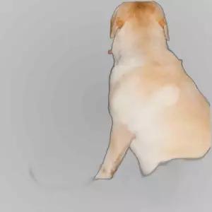 반려동물 도어커버 자동차 스크래치방지 패드 차문 차