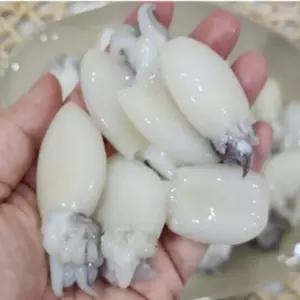 냉동 미니 갑오징어 손질 볶음 샤브샤브 짬뽕 탕용 해산물