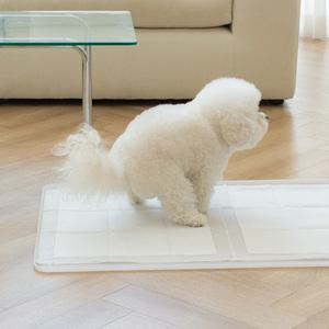 강아지배변판 중대형견 실리콘 배변매트 논슬립 퍼펙트토일렛2.0