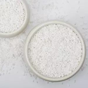 1/5인치 흰색 다육식물 선인장 자갈 5파운드 - 화분 꽃병 충전재 유리 용기 수족관 파티오 야외 원예