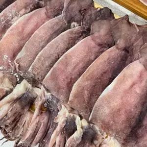 국내산 반건조 오징어 10미 마른 동해 말린 철 부드럽게 포항구룡포 피데기 건