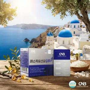 매스틱사균체유산균 45일분 프락토올리고당 양배추 브로콜리 감초농축분말 HACCP인증