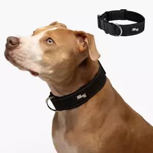 DF Co. 택티컬 강아지 목줄 퀵 릴리스 버클 및 튼튼한 D-링으로 편안함과 안정성 제공 부드러운 네오프렌