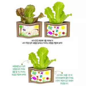 나만의미니텃밭 화분관찰 모종심기 상추키우기(기록카드포함) 식물성장일지