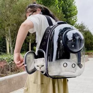 반려동물 우주 캡슐 백팩 이동가방 이동백 배낭 강아지