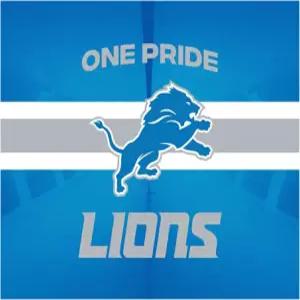 노스웨스트 디트로이트 라이온스 NFL 팀 아치 슬로건 랠리 타월 15 x 18 인치