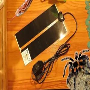 어항온도조절기 거미 거북이 cm 5w 온도 EU 가열 히터 수족관 파충류 도마뱀