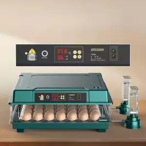 오리알 부화기 파충류 파란색 병아리 기러기알 자동 공급 부하기