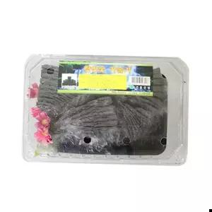 공기정화 IS 냄새제거 공기정화숯 제습 탈취 방향제