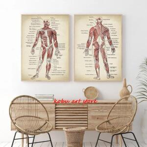 인체 해부학 프린트 캔버스 페인팅, 근육 시스템 차트, 레트로 월 아트 포스터, 의료 Cuadros 장식 그림