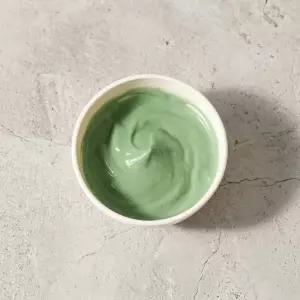 엑스퍼트 스피룰리나 쿨링 모델링 마스크 팩 1kg, GIFT 팩도구 3종 1000g 1207050