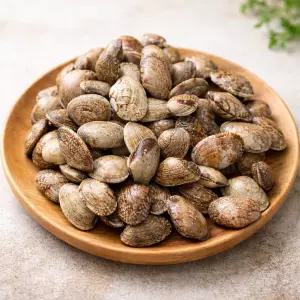 국내산 활 왕바지락 1kg