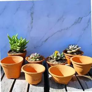 TC 이랑 국내산 토분 MSset(4개1세트) - 다육 수공예