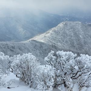 [전북] 리무진버스 - 겨울왕국 무주 덕유산 눈꽃 산행(안성탐방지원센터-설천봉:곤도라하산) 당일