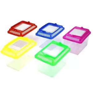 곤충채집통곤충채집 (WFGU6SR)