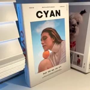 모형책 자몽 촬영 인테리어 가짜 소품 (WFGTDZZ)