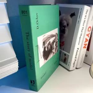 인테리어 모어 소품 촬영 가짜 모형책 (WFGTE02)