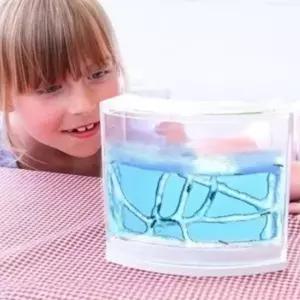 여왕 개미 키우기 2단 세트 개미집 개미관찰 (WFJW25B)