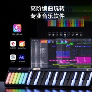ROLI Piano 디지털 스튜디오 에어웨이드번들 EDITION 피아노M 롤리