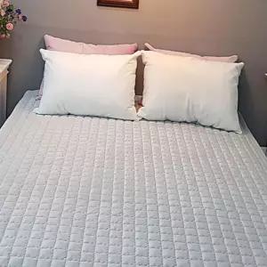 (올핀)미미 1mm 극세사 카페트겸 침대패드 Q SS 초극세사패드