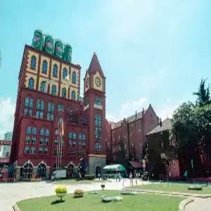 [하나LIVE 에디션][청주출발]칭다오[청도] 3일 #월드체인호텔 #NO기사/가이드경비+NO선택관광 #인기선택관광 포함 #전일정 특식